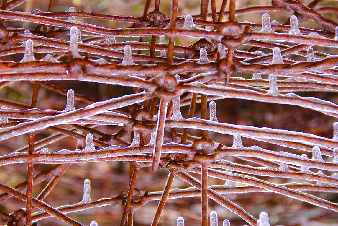 "The Ice Exhibition" Photography
Multidimensional Art Museum.